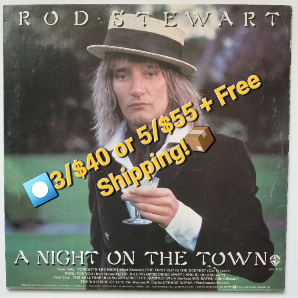 Rod Stewart A Night on the Town Vinyl LP Record ⏺3/$40 Or 5/$55+Free Shipping🚚